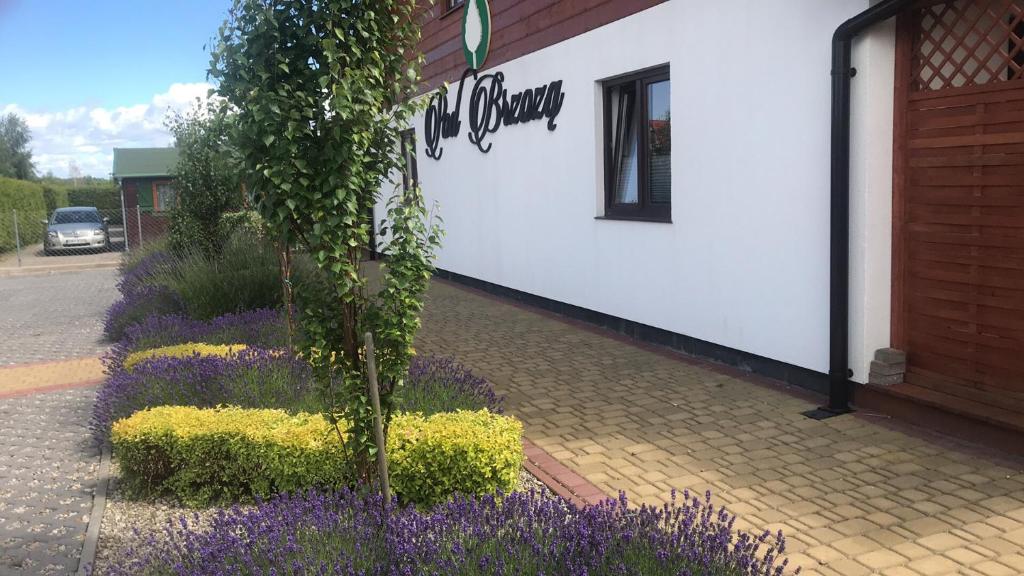 Strona główna 198048557